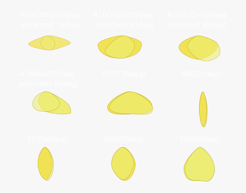 Macoma, HD Png Download