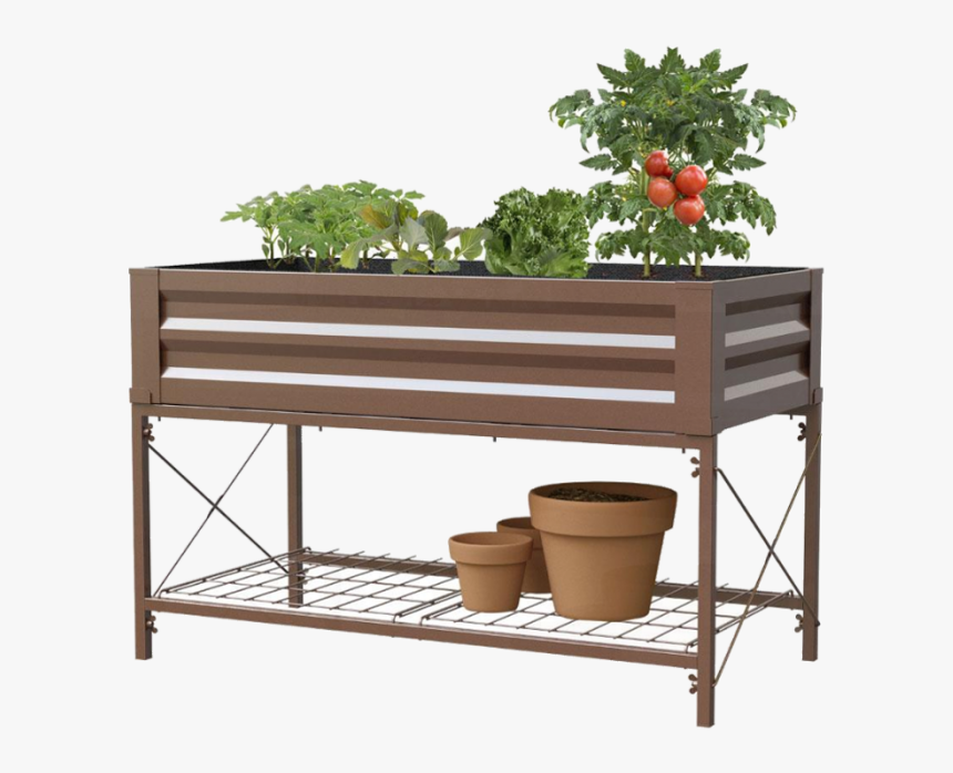 Tomato Plant, HD Png Download