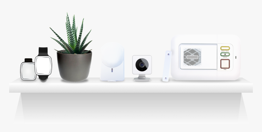 Flowerpot, HD Png Download