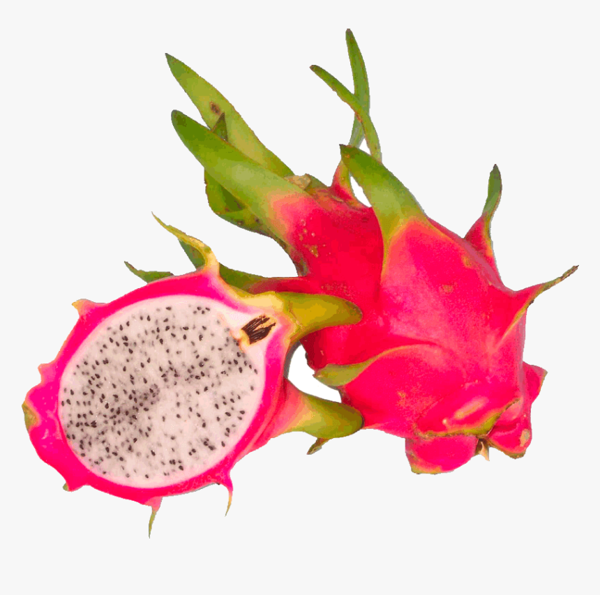 Dragon Fruit Clipart Free - Dragon Fruit Png, Transparent Png