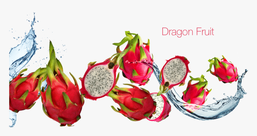 Transparent Dragon Fruit Png - Dragon Fruit Juice Png, Png Download