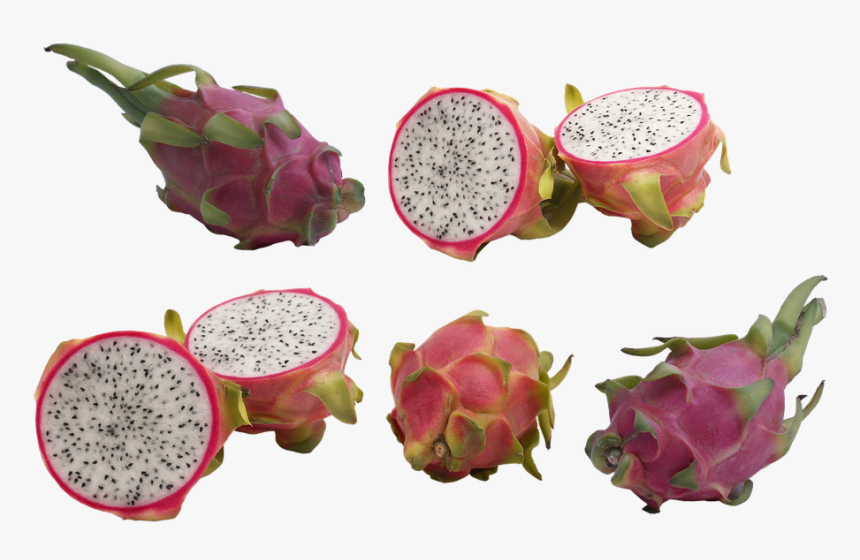 Transparent Dragon Fruit Png - Dragon Fruit For Dengue, Png Download