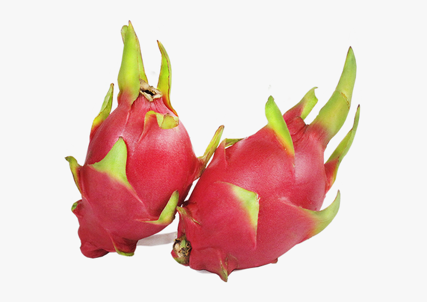Pitaya, HD Png Download