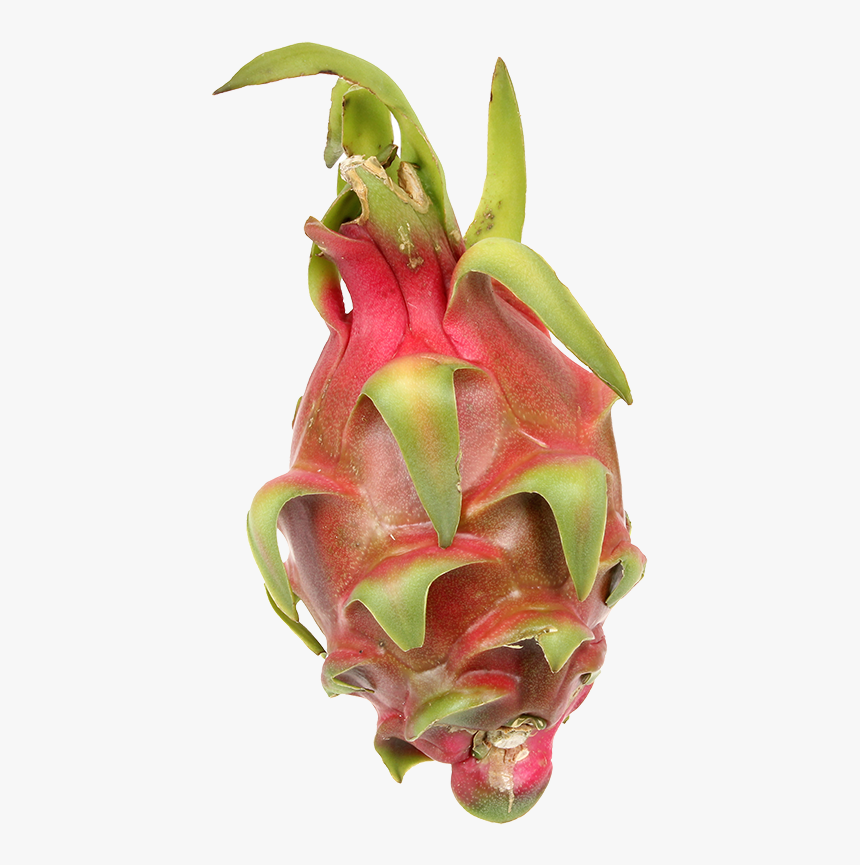 Pitaya, HD Png Download