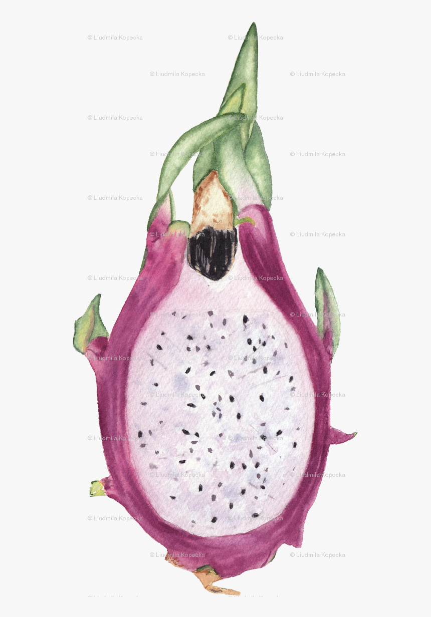 Illustration, HD Png Download