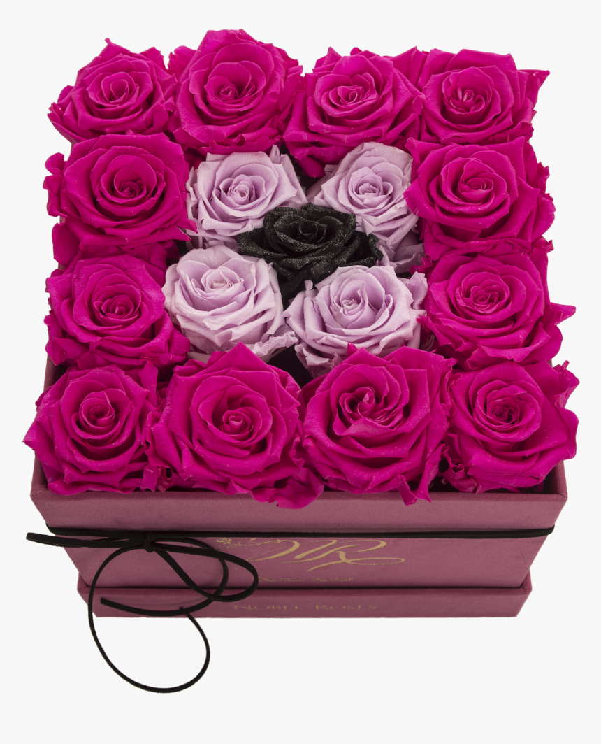 Garden Roses, HD Png Download