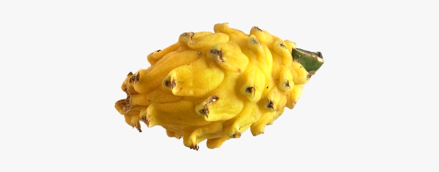Dragon Fruit - Horned Melon, HD Png Download