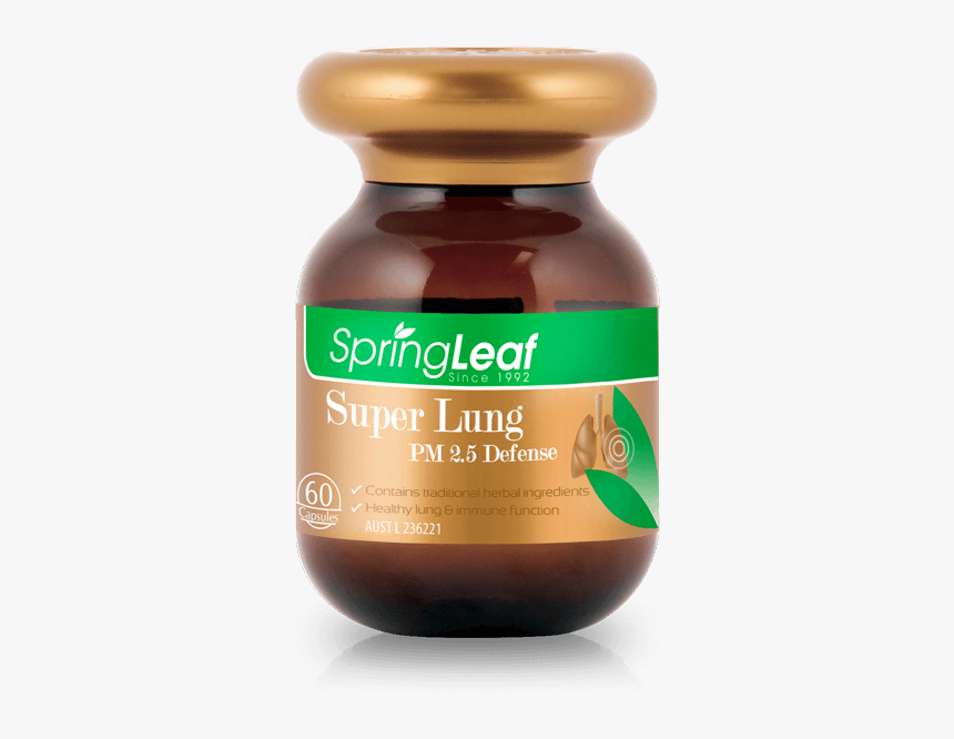 Slc High Lung - Spring Leaf Ginkgo Biloba, HD Png Download