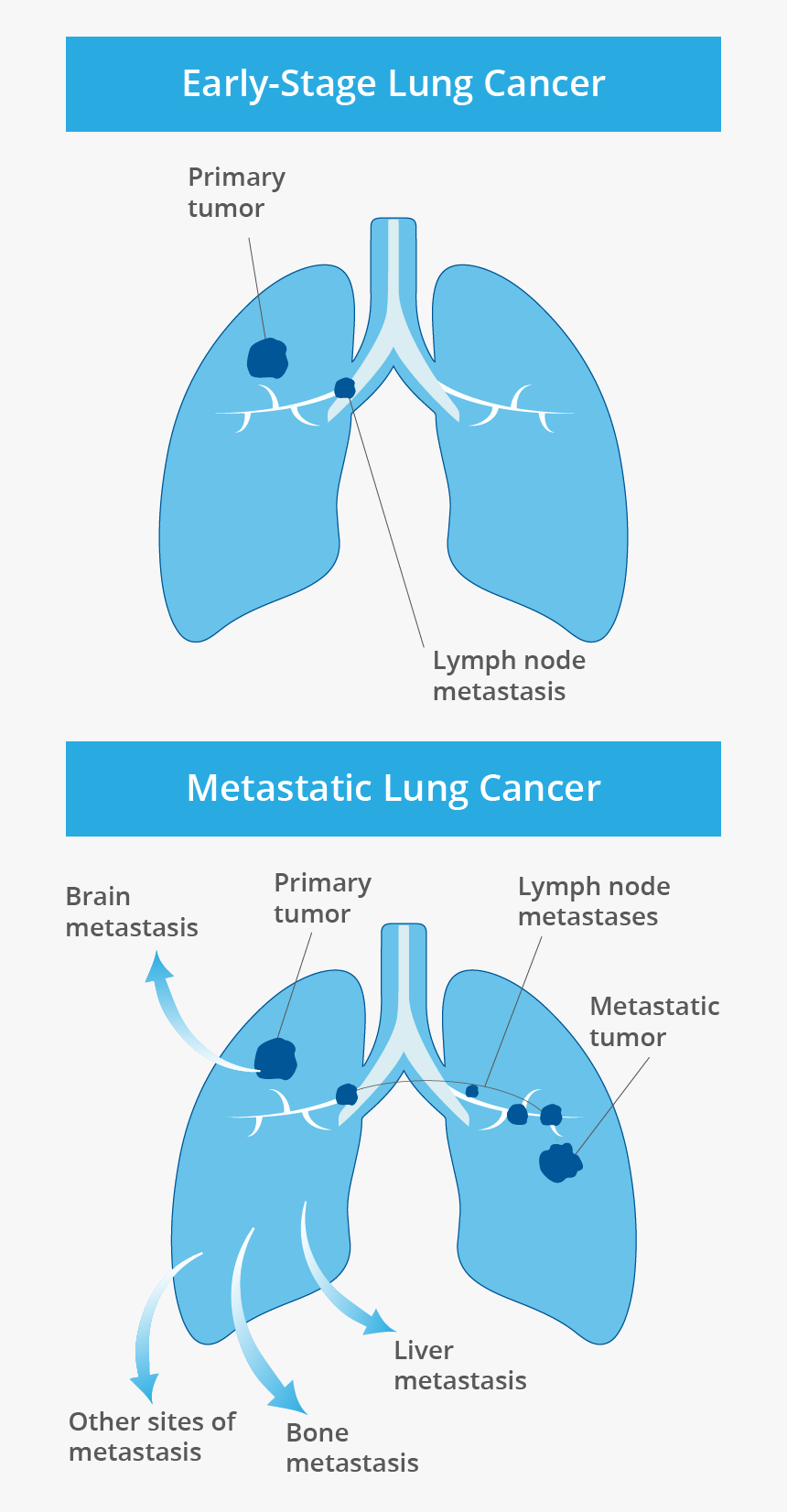 Diagram, HD Png Download