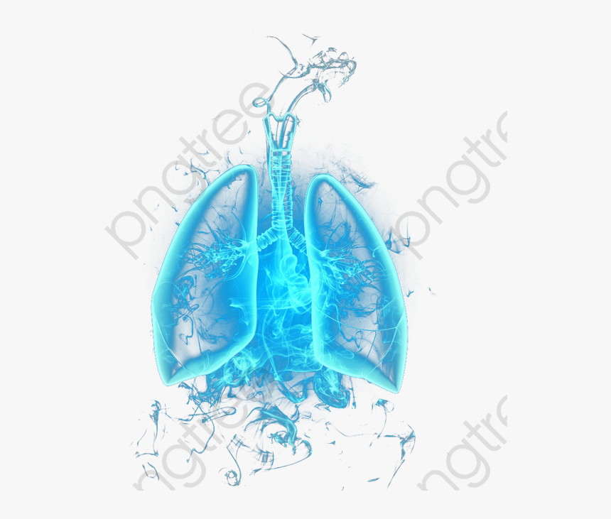 Sketch, HD Png Download