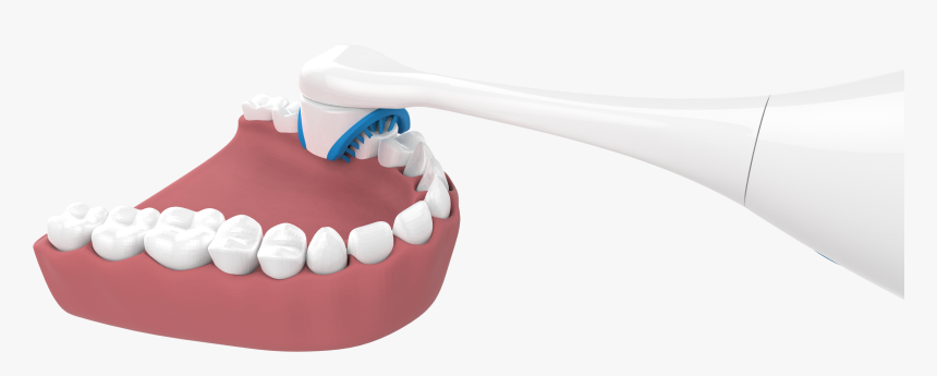 Brush, HD Png Download