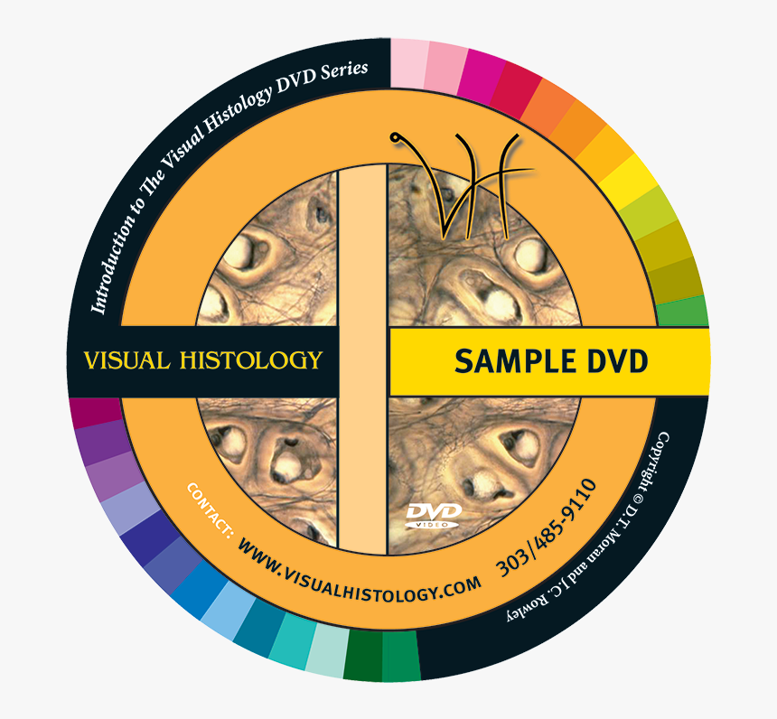 The Human Cell - Circle, HD Png Download