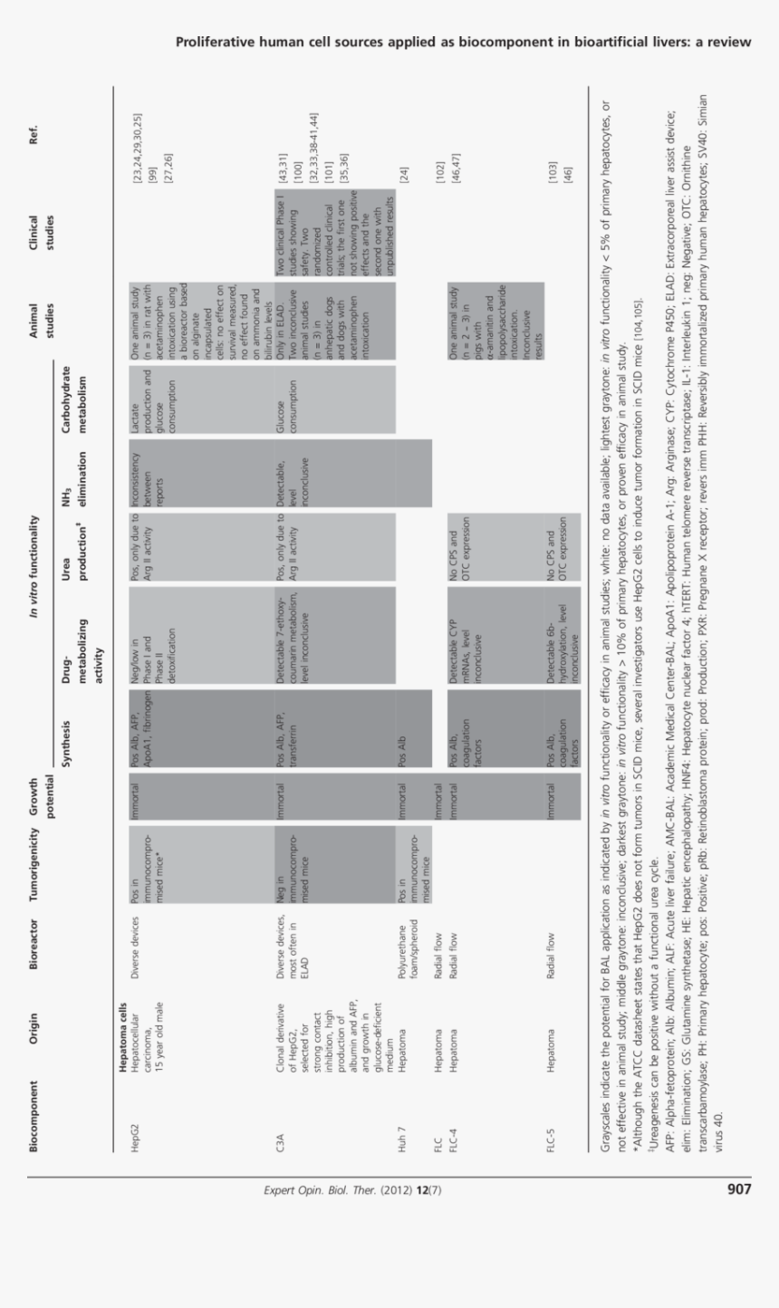 Number, HD Png Download