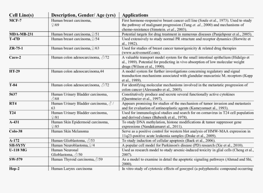 Human Cell Lines, HD Png Download