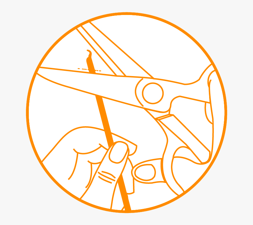 Circle, HD Png Download