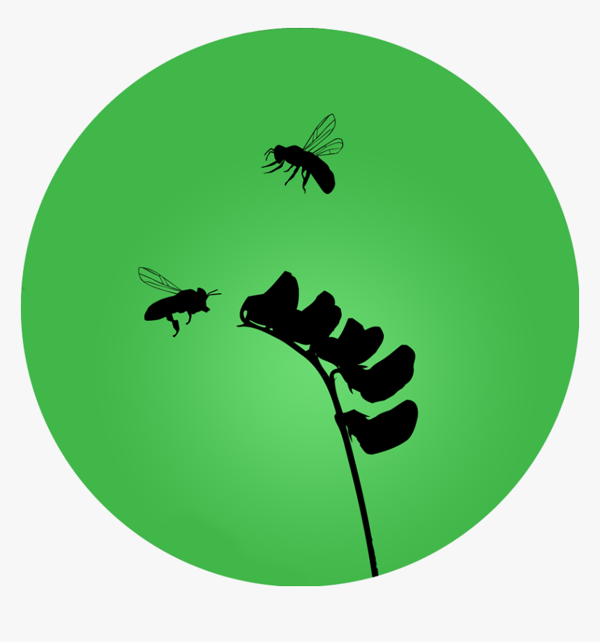 Green Bee Maryland - Silhouette, HD Png Download