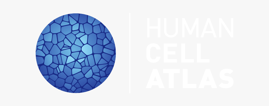 Human Cell Atlas Logo, HD Png Download