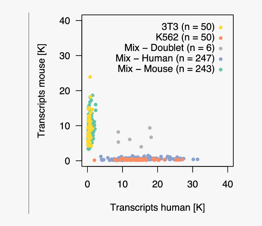 Single Cell Species Mixing, HD Png Download