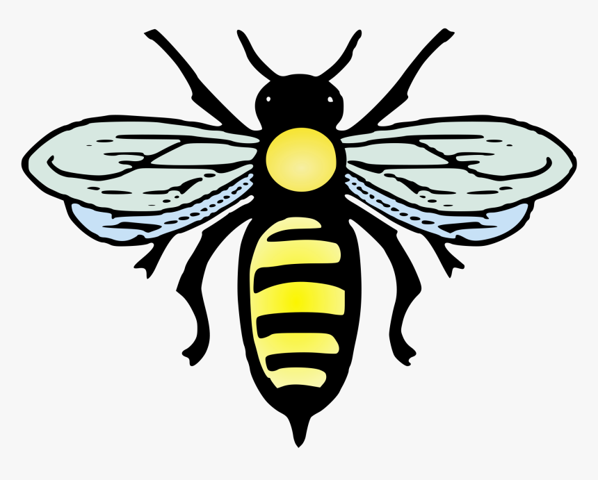 File Abeille Svg Wikimedia - Bee Images Svg Files, HD Png Download