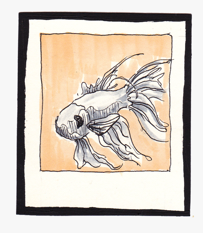 Sketch, HD Png Download