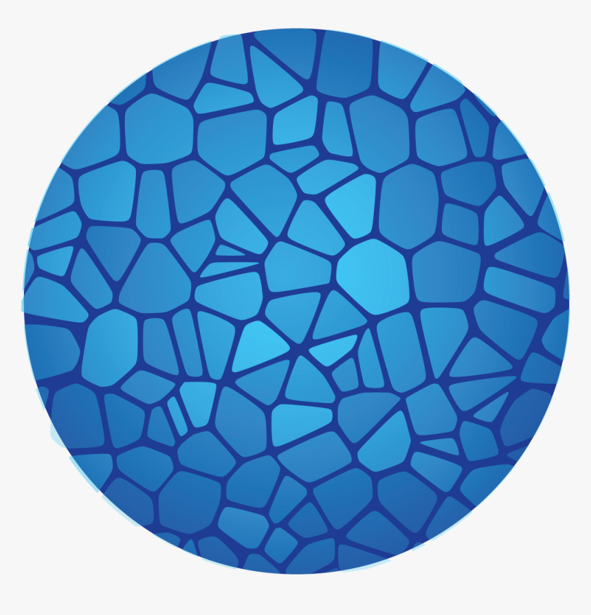 Single Cell Human Cell Atlas, HD Png Download