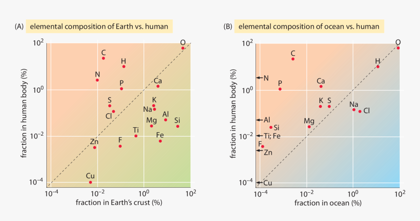 Cbbtn Ch2 - Elemental Composition Of Cell, HD Png Download