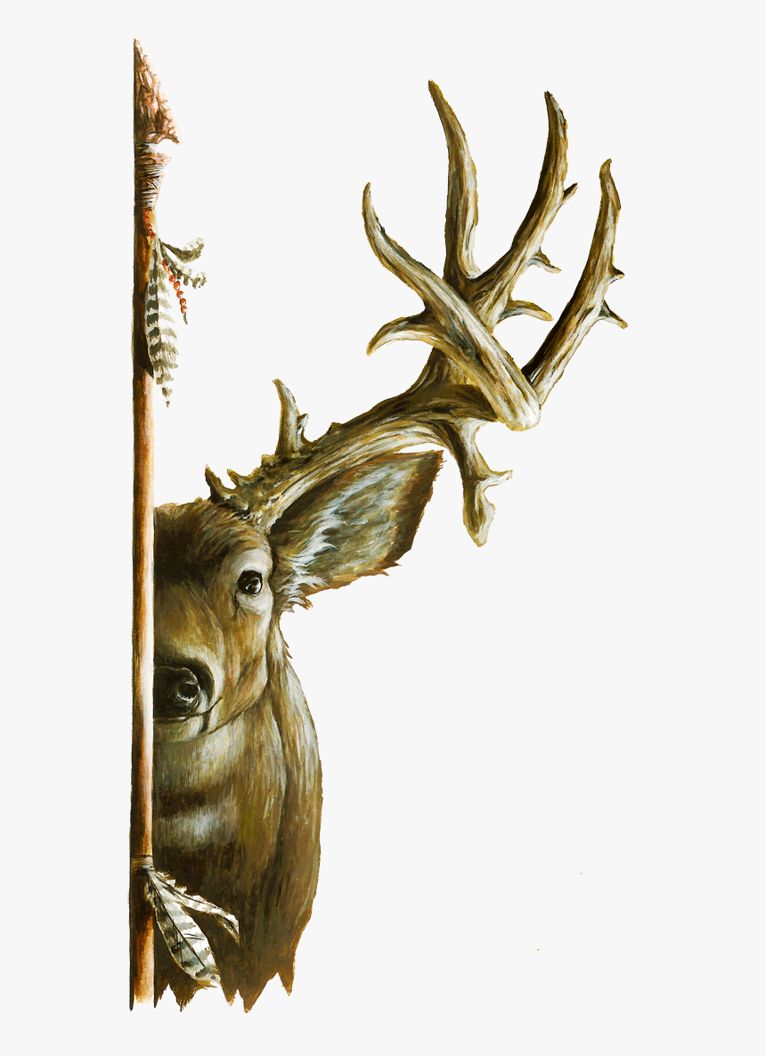 Elk, HD Png Download
