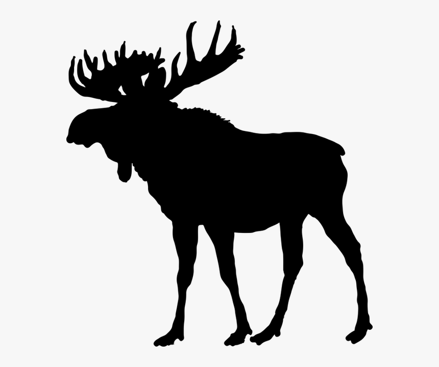 Moose Clip Art, HD Png Download
