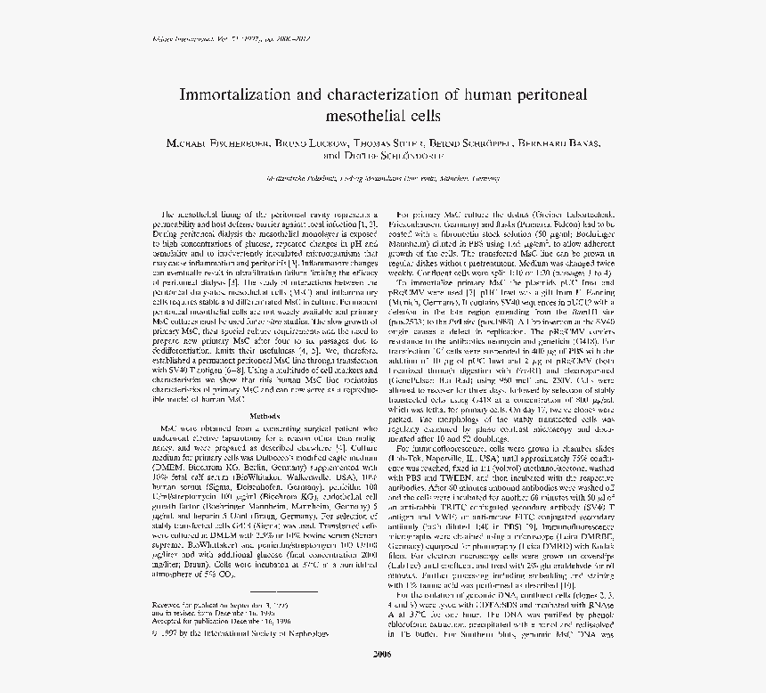 Document, HD Png Download