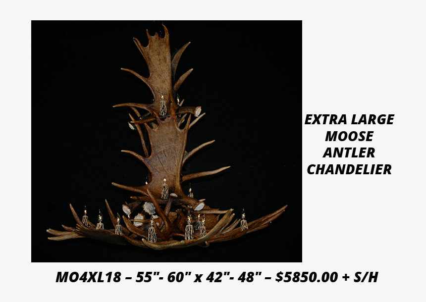 Moose Antler Chandeliers - Lodgepole Pine, HD Png Download