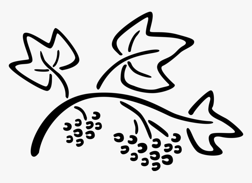 Vector Illustration Of Edible Grapevine Fruit Grapes - Line Art, HD Png Download