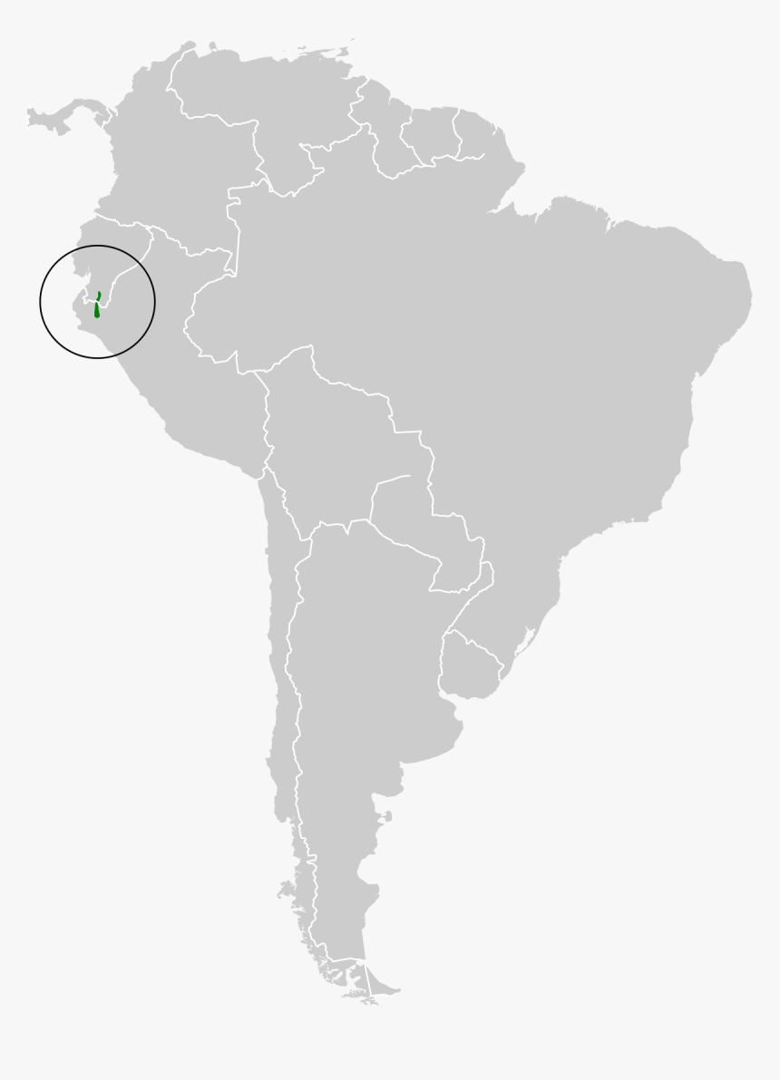 1953 South American Championship, HD Png Download