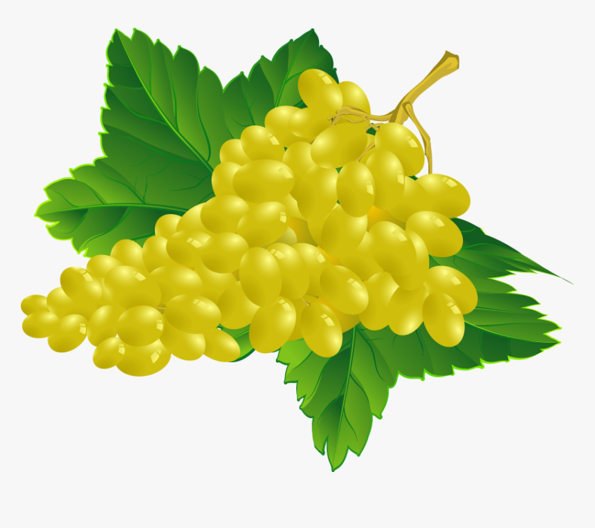 Grape Vector, HD Png Download