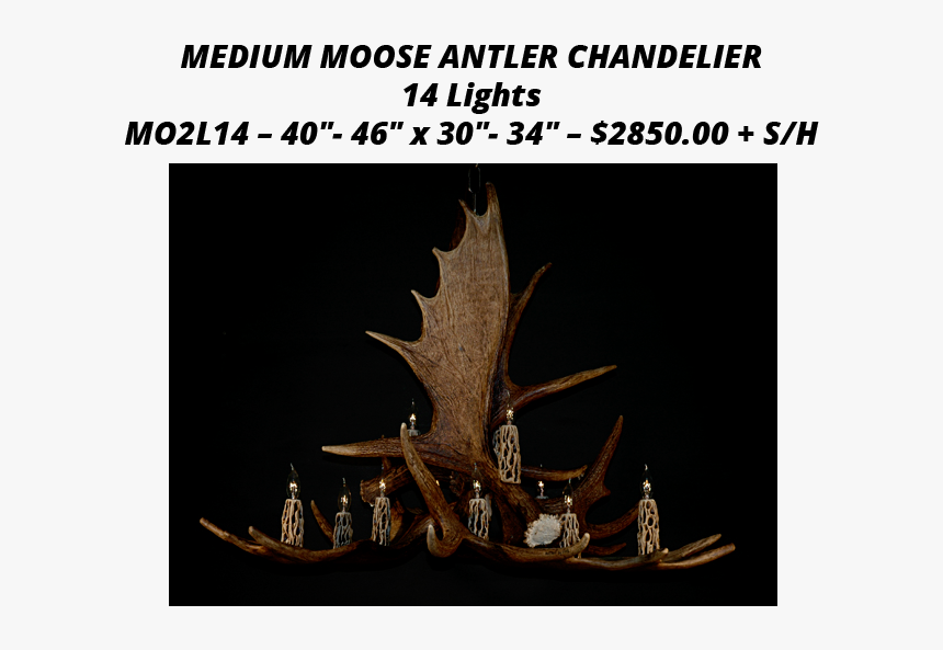 Moose Antler Chandeliers - Deer, HD Png Download
