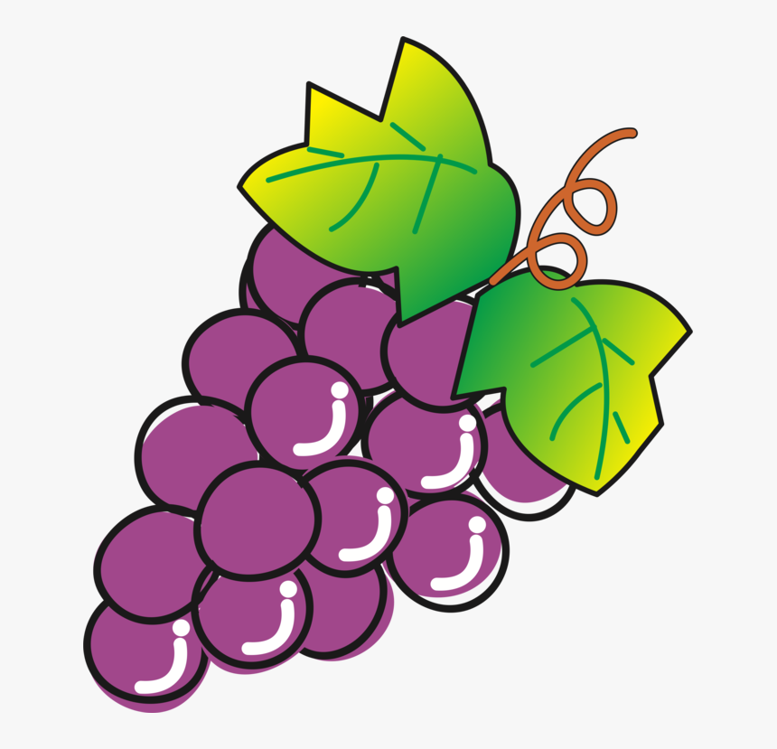 Seedless Fruit,plant,flower - Seedless Fruit, HD Png Download