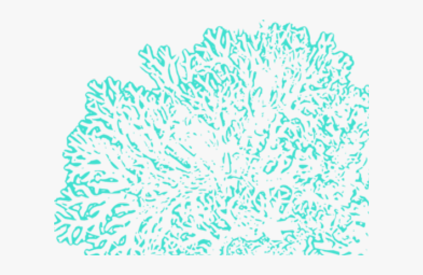 Coral Reef Clipart Outline - Transparent Coral Reef Clipart, HD Png Download