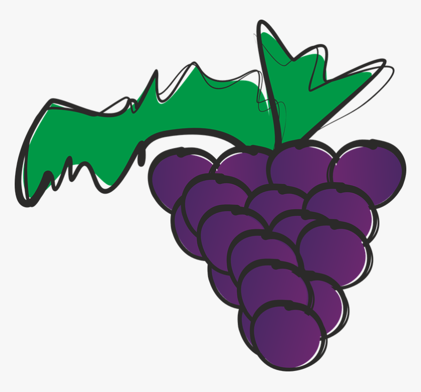 Bunch Of Grapes, Grapes, Fruit, Tropical Fruit - Grape, HD Png Download