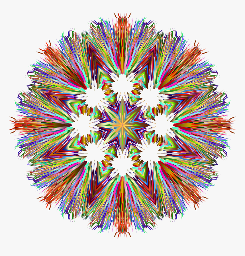 Transparent Coral Clipart - Circle, HD Png Download