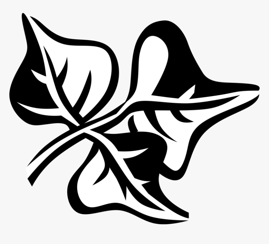 Vector Illustration Of Coral Bean Botanical Horticulture, HD Png Download