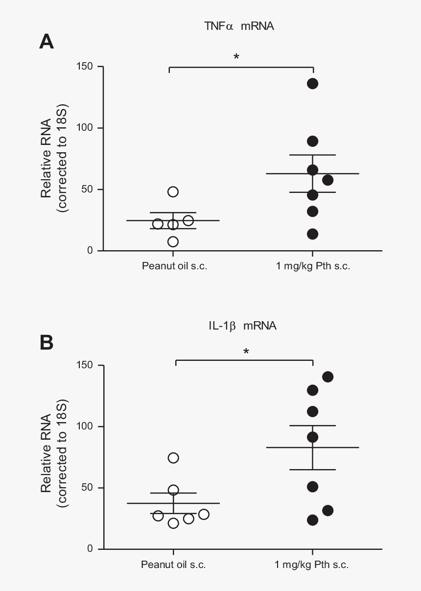 Diagram, HD Png Download