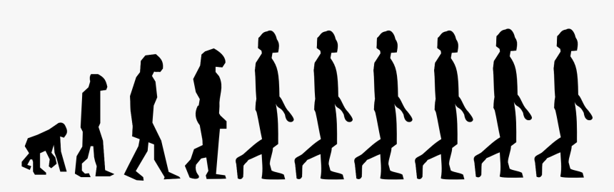 Evolution Of Human Walking - Evolution Charles Darwin Stickman, HD Png Download