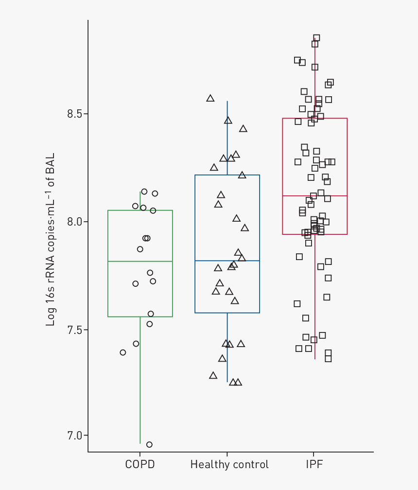 Diagram, HD Png Download