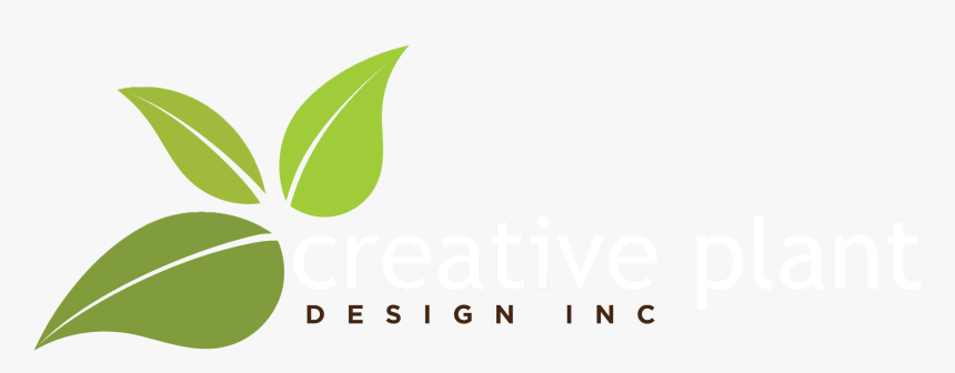 Leaf, HD Png Download