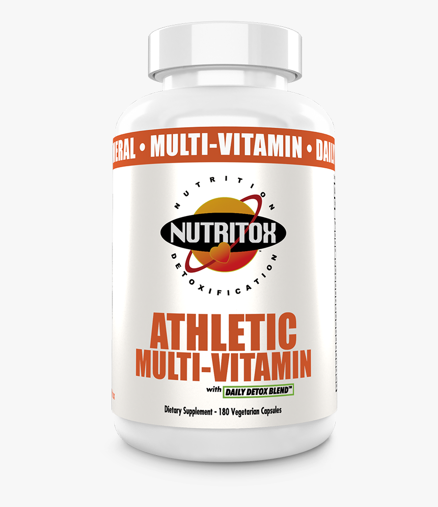 Stallion, HD Png Download