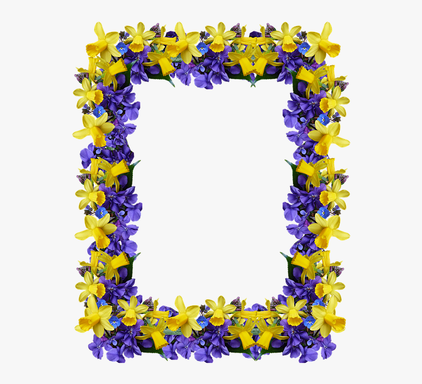Frame, Spring, Flowers, Daffodils, Violets - Delphinium, HD Png Download