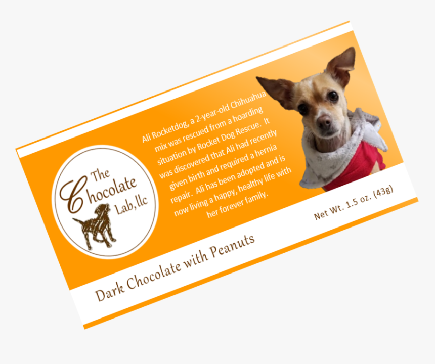 Transparent Chocolate Lab Png - Ina Cookies, Png Download