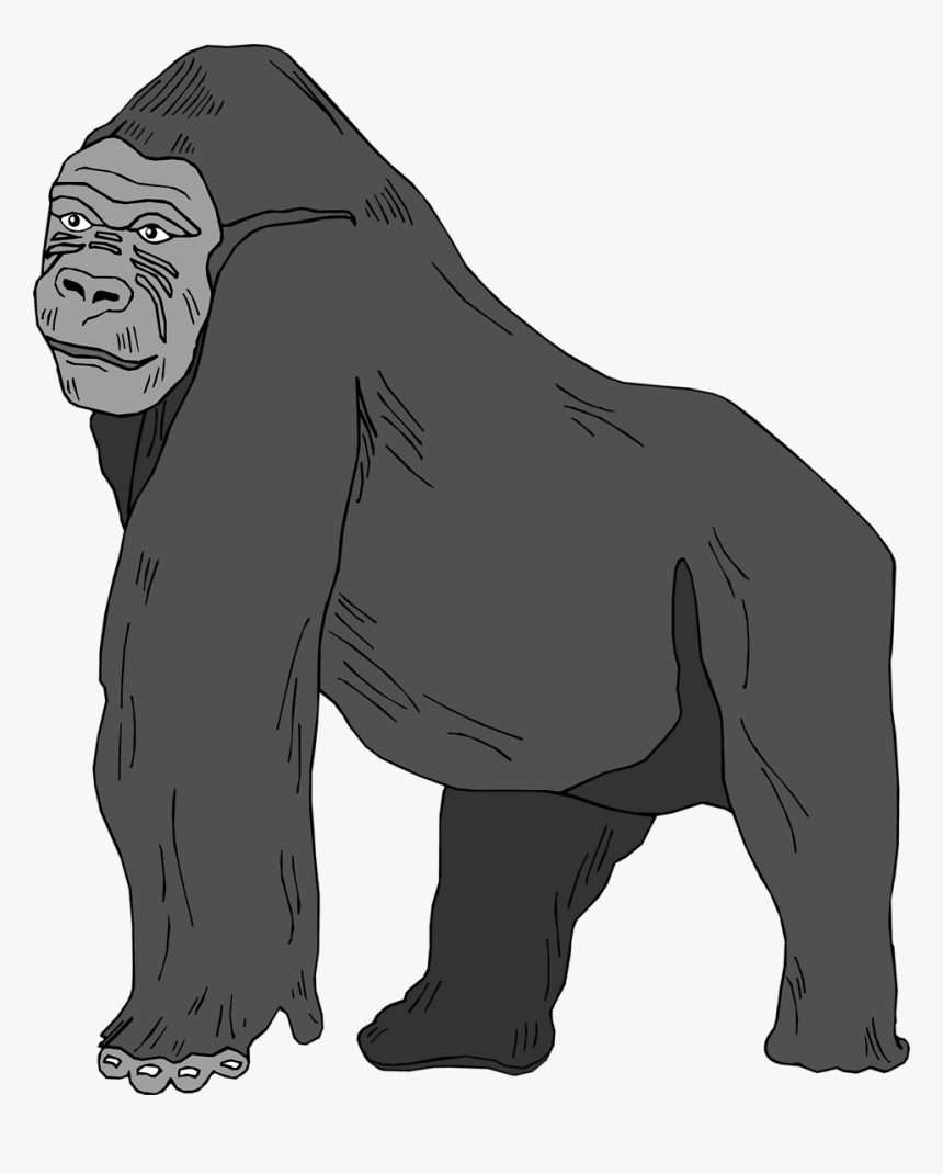 Free Clipartxtras Top - Gorilla Clipart Transparent Background, HD Png Download