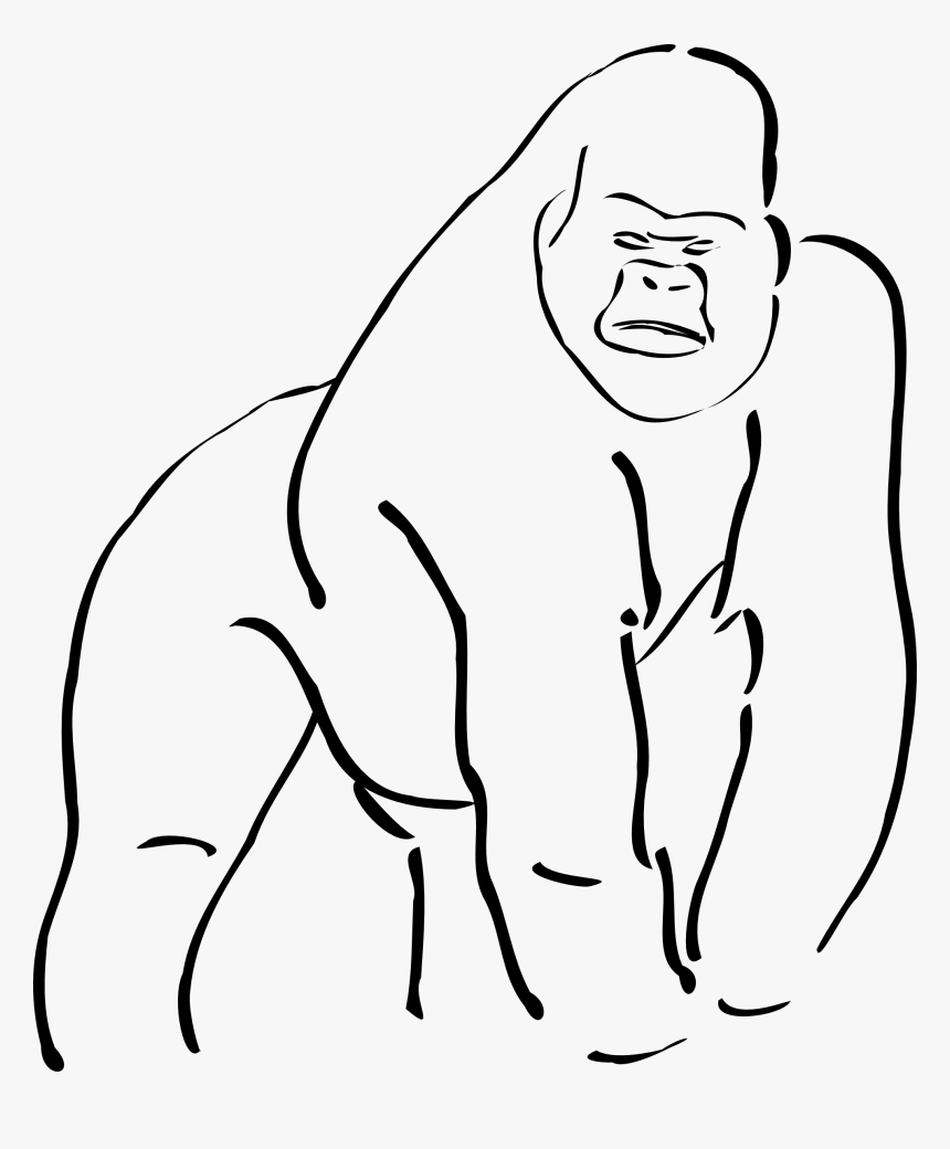 Gorilla Clip Art - Gorilla Outline, HD Png Download
