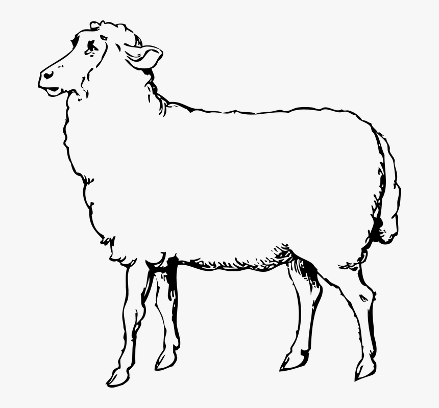 Free Image On Pixabay - Sheep Images Black And White, HD Png Download