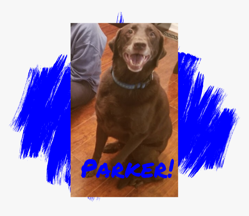 Dog - Do Paw Blue, HD Png Download